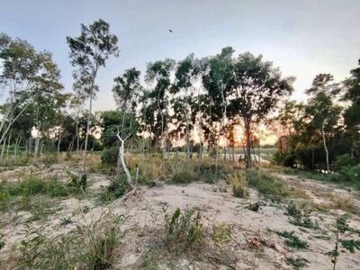 ขายที่ดินแปลงสวย ใกล้ถนนสุขุมวิท กระทิงลาย-พัทยา ชลบุรี