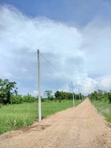 ืั้ที่ดินคลอง10หนองเสือ ถมแล้วไร่ละ1.15ล้าน น้ำไฟหน้าที่