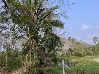 โอกาสทอง! ที่ดินทำเลดี   ต.สองพี่น้อง อ.ท่าใหม่ จ.จันทบุรี
