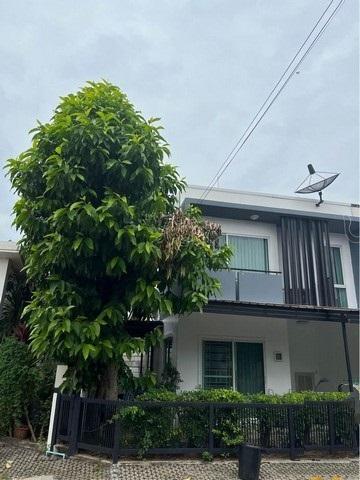 BH1795 ให้เช่าทาวน์โฮม 2ชั้นหลังมุม หมู่บ้านพฤกษาทาวน์ พรีเว่ (เลียบทางด่วนรามอินทรา) 