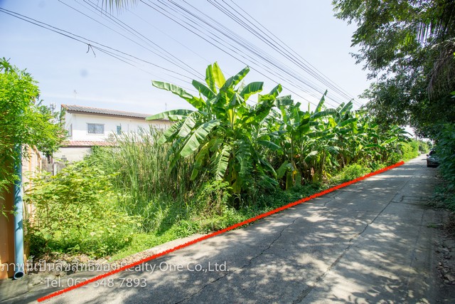 ขาย ที่ดิน ซ.เทพกุญชร 40/2 ตรงข้ามนวนคร ปทุมธานี ถูกที่สุด