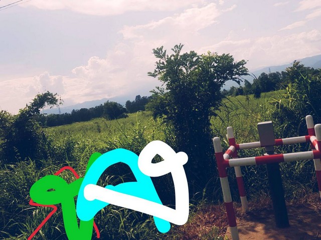 ขายที่ดินติดถนนสายเส้นเอเซียตัวเมืองบ้านตากราคาคุยกันได้ แบ่งแปลงเล็กขาย เมืองตาก  ที่แบ่งขายติด AH1 เมืองบ้านตากจังหวัดตาก  3-1-40 ไร่ ติดถนนเอเซีย AH1 ติดถนนพหลโยธินไร่ 3ลบ. โทร096-8821857