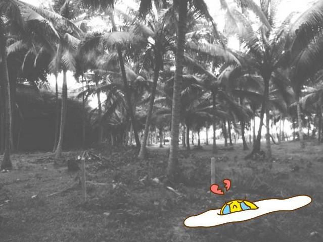 แบ่งขายที่แปลงเล็กวาละ 6500 บาท ใกล้ทะเลนิดนึงบางสะพานน้อย  ทะเลฝั่งแดง บางสะพานน้อย  ประจวบ  แปลงเล็ก วาละ 6900 บาท หาดผาฝั่งแดง UNSEEN THAILAND 