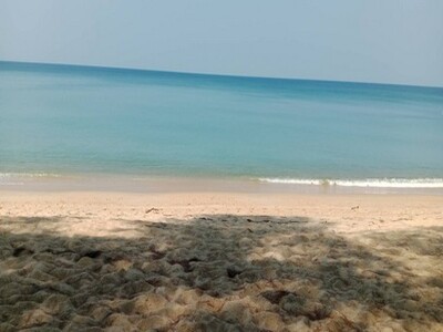 ขายที่ดิน ติดทะเล หาดไม้ขาว