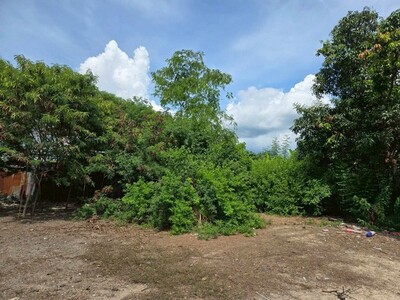 ขายที่ดินห้วยกะปิ ชลบุรี แปลงสวย ทำเลดี ใกล้จัตุจักรชลบุรี