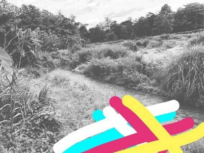 หนาวนี้ดูซื้อทรัพย์เล็งขาย ที่ดินติดลำธารน้ำมวบ ใสไหลฉ่ำตลอดปี จ.