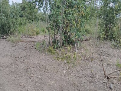 หนาวนี้ดูซื้อทรัพย์เล็ง ขายที่่สวยติดถนนพหลโยธิน AH1 บ้านตาก จ. ต