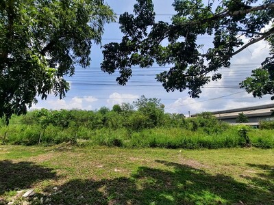 ขายที่ดินว่างเปล่ามือสองปลวกแดง    โครงการแพนธานี ระยอง
