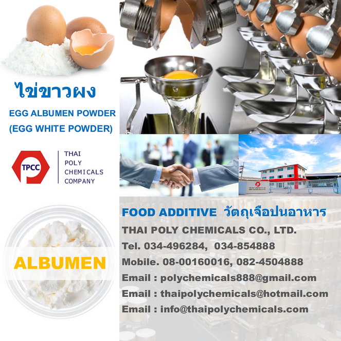 Egg white powder, ไข่ขาวผง, ผงไข่ขาว, จำหน่ายไข่ขาวผง, จำหน่ายผงไข่ขาว