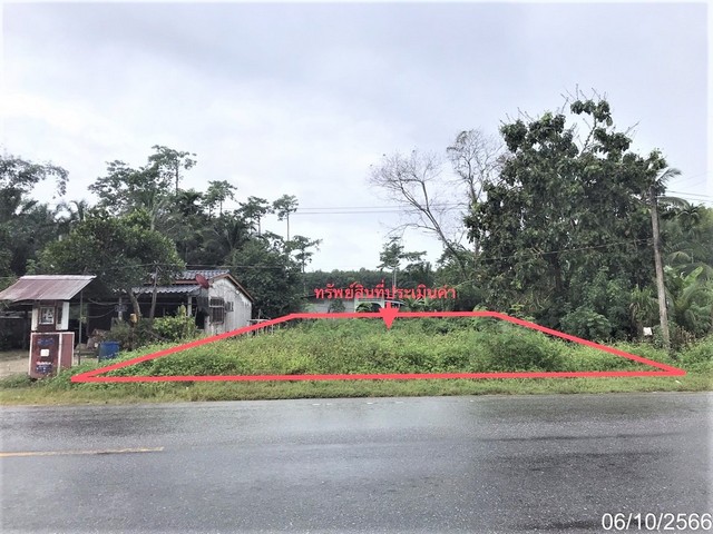 ขายที่ดินว่างเปล่าใกล้ โลตัส โกเฟรช พิปูน อำเภอพิปูน จังหวัดนครศรีธรรมราช PKK01-12034