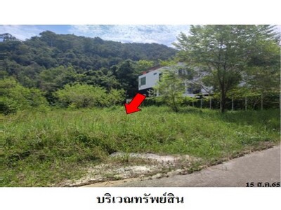 ขายที่ดินว่างเปล่า บ้านสวนธนวัฒน์ ต.น้ำน้อย อ.หาดใหญ่ จ.สงขลา 