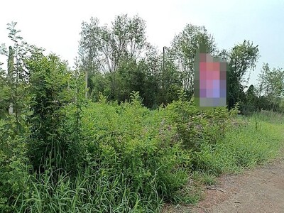 ขายที่ดินว่างเปล่ามือสองหนองจอก  โครงการเพรสซิเด้นท์ กรุงเทพมหานค