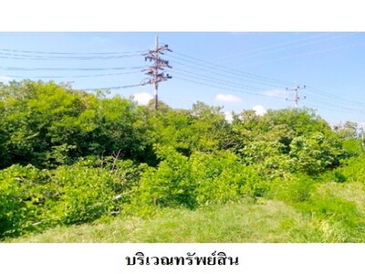 ขายที่ดินว่างเปล่า ต.ท่าบอน อำเภอ ระโนด จังหวัด สงขลา