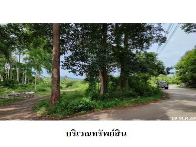 ขายที่ดินว่างเปล่า ต.สทิงหม้อ อ.สิงหนคร จ.สงขลา