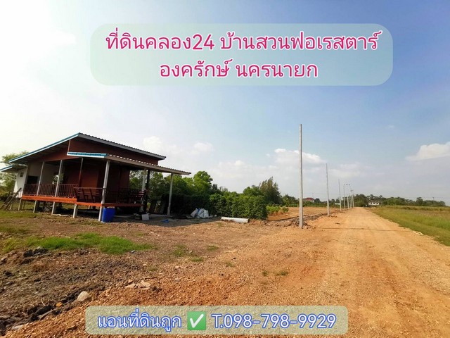 ที่ดินคลอง24  องครักษ์ นครนายก  บ้านสวนฟอเรสตาร์ เงินผ่อน เงินสด