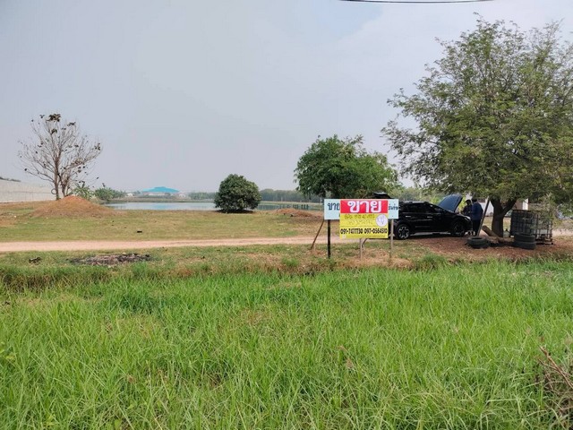 ขายที่ดินพร้อมที่อยู่อาศัย เนื้อที่ 19-0-42 ไร่  ติดถนนพันธุ์วงษ์ ทำเลดี เข้า-ออก ได้หลายทาง     ZW098