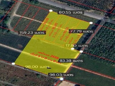 ขายที่ดินระยองทำเลดีเนื้อที่ 9 ไร่ ซอย 13 สาย 7 อ.นิคมพัฒนา จ.ระย