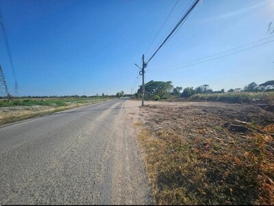 ขายที่ดินผังม่วงใกลินิคมอมตะชลบุรี ต.บางนาง  พานทอง–ชลบุรี 