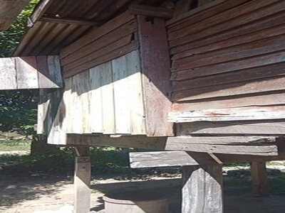 เล็งทรัพย์ดีเก็งอนาคต ขายบ้าน262วา ต.โพทะเล อ.ค่ายบางระจัน.สิงห์บ