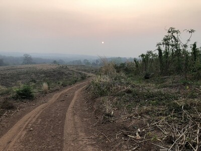 เล็งทรัพย์ดีเก็งเก็บอนาคตที่บนเนินเขา สูงจากน้ำทะเล หล่มเก่า เพชร