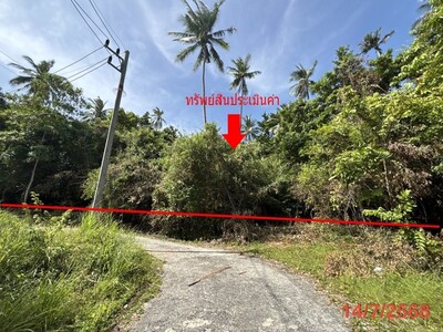 ขาย ที่ดิน สุราษฎร์ธานี อำเภอ เกาะสมุย จังหวัด สุราษฎร์ธานี