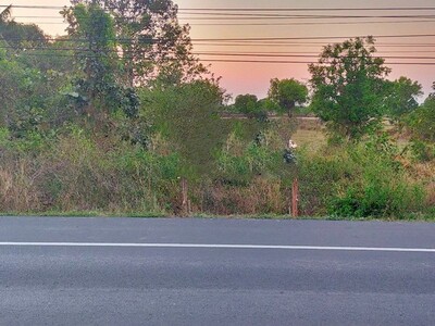 ขายที่ดิน ติดถนนสายสุรินทร์-ท่าตูม  เมืองสุรินทร์   