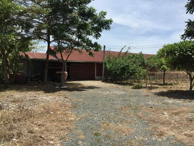 ขายที่ดินเมืองเพชรบูรณ์ ที่ดินทำเลดีเมืองเพชรบุณ์ ที่ดินติดถนน