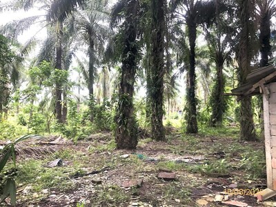 ขาย ที่ดิน สุราษฎร์ธานี อำเภอ ท่าชนะ จังหวัด สุราษฎร์ธานี