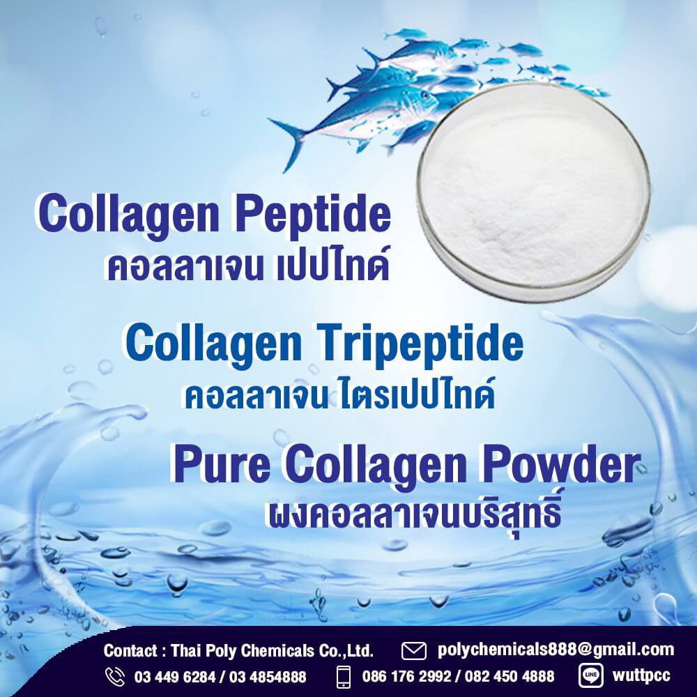 คอลลาเจน, คอลลาเจน เปปไทด์, คอลลาเจนผง, Collagen, Collagen Peptide, Collagen Powder