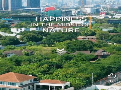 ขาย ที่ดินถมแล้ว ร่มรื่นต้นไม้ใหญ่ ถนนคอนกรีต ท่อน้ำครบ น้ำไม่ท่ว