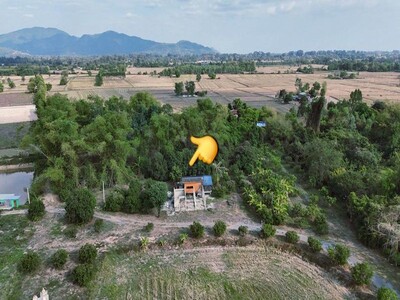 ขายสวนผลไม้รวมแปลงละ 2 ไร่ ต.เขาเพิ่ม อ.บ้านนา จ.นครนายก