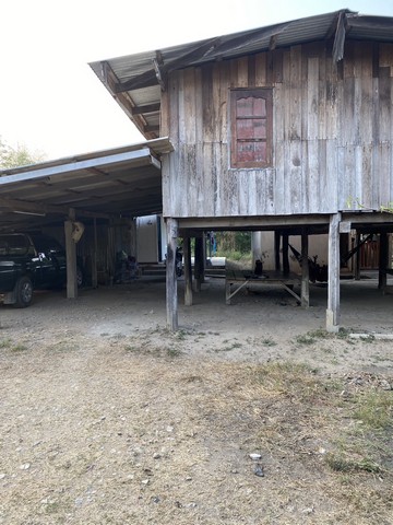 รวยทรัพย์ซื้อเก็บบ้านที่ดินเพื่ออนาคตร่ำรวย  ขาย จ.สิงห์บุรี  วิถีไทยอยู่อย่างไทย  ตำบลโพทะเล วิถีไทย 262 วา ต.โพทะเล อ.ค่ายบางระจัน สิงห์บุรี 500000บาท