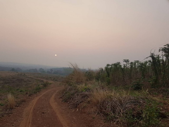 รวยทรัพย์ซื้อเก็บบ้านที่ดินเพื่ออนาคตร่ำรวย  ขาย ธรรมชาติเนินเขา ที่ดินโฉนดแบ่งขาย สวยๆ ท่ามกลางธรรมชาติหล่มเก่า ดินดีทำเกษตรงาม  ที่ดินดีสมบูรณ์ หล่มเก่า เพชรบูรณ์ ใกล้ภูทับเบิก โทร 0968821857