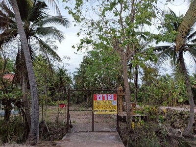 ขายที่ดินสวนมะพร้าว 3-0-17 ไร่  พร้อมสิ่งปลูกสร้าง คุ้งน้ำวน ราชบ