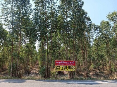 ขายที่ดินสวนยูคาลิปตัส  20-1-34 ไร่ สวนผึ้ง ราชบุรี  วิวภูเขา