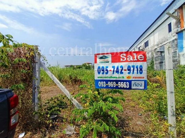 ที่ดิน ถมเรียบร้อย 225 ตารางวา ทำเลดี เอกชัย 66 ใกล้ ตลาดเอกชัย บางบอน