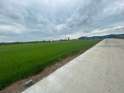 ขายที่ดิน 15-20 ไร่ หน้ากว้าง ผังม่วง  อ.เมือง ฉะเชิงเทรา 