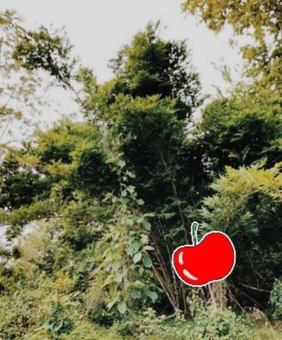 ขายที่ดิน นส.3ก.ติดลำธาร น้ำชุ่มฉ่ำตลอดปี เมืองน่าน ลำธารเคล้าแก่งหินเย็นสบาย850000บาท 3-0-35ไร่ อำเภอสันติสุข น่าน