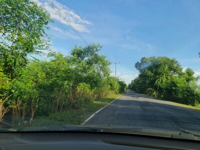 อสังหาเลือกดูจับจองได้ ที่สวยติดถนนคอนกรีต ต.อ.มหาราช อยุธยา 