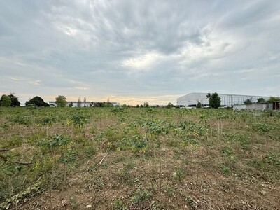 ขายที่ดินศรีราชา หนองขาม แปลงสวย ทำเลดี ติดนิคมปิ่นทอง 1