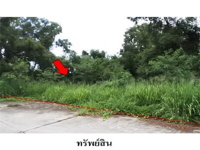 ขายที่ดินว่างเปล่า โครงการ สวนวลีแลนด์ 4  ระยอง