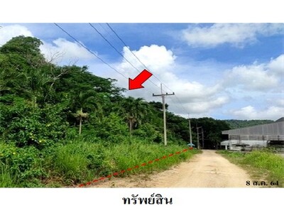 ขายที่ดินว่างเปล่า มะขามคู่ นิคมพัฒนา  ระยอง