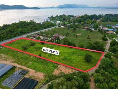 ขายที่ดินทำเลดี แปลงสวย ใกล้อ่างเก็บน้ำบางพระ ศรีราชา ชลบุรี