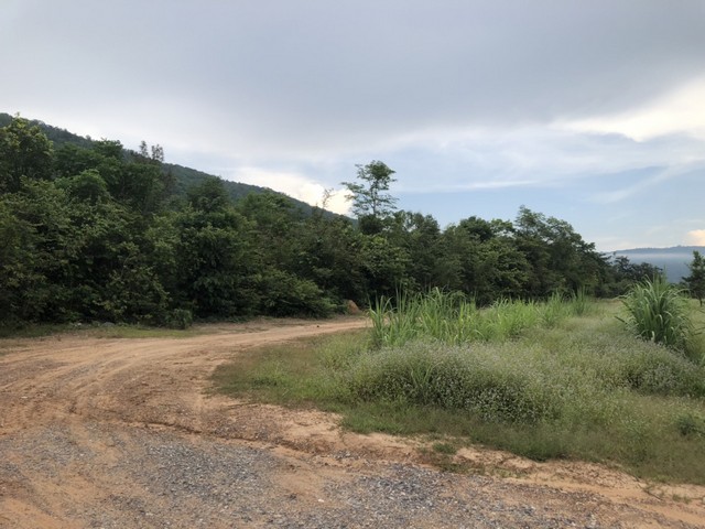 ที่ดินอุ่นใจรับหน้าหนาวใกล้เขาสวยเมืองสีชมพูขอนแก่น ใกล้อุทยานแห่งชาติ ดินดีสมบูรณ์ทรัพย์ในดิน  ตำบลนาจาน อำเภอสีชมพู ฟ้าใสอากาศดีขอนแก่น 