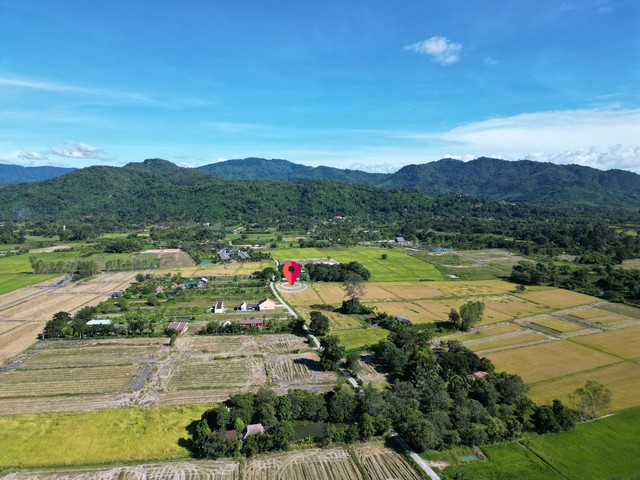 ขายที่ดิน 3 ไร่ อ.บ้านนา จ.นครนายก 4,500,000 บาท มีโฉนดพร้อมโอน ค่าโอน 50/50