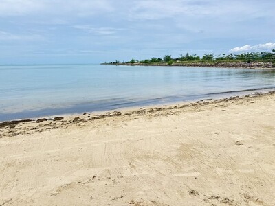 ขายที่ดินริมชายหาด เกาะสมุย 5ไร่ 1 งาน 60.20 ตร.ว.