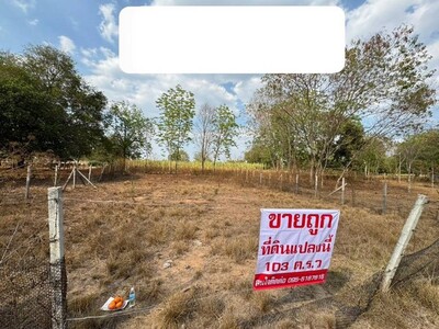 ขายที่ดินหนองสาหร่าย อำเภอปากช่อง จังหวัดนครราชสีมา