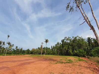 ขายที่ดินริมน้ำ แปลงละ 1 ไร่ ณ คลองร้อยสาย สุราษฎร์ธานี