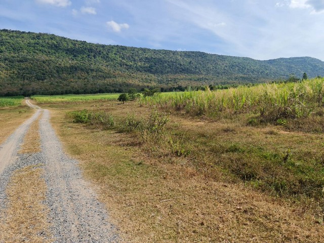 โปรปังส่งท้ายปี66เท่านั้น ลด10% ติดเทือกเขายาวเรียงแนว ดินดีสมบูรณ์ทรัพย์ในดิน  ตำบลนาจาน อำเภอสีชมพู ฟ้าใสอากาศดีขอนแก่น 