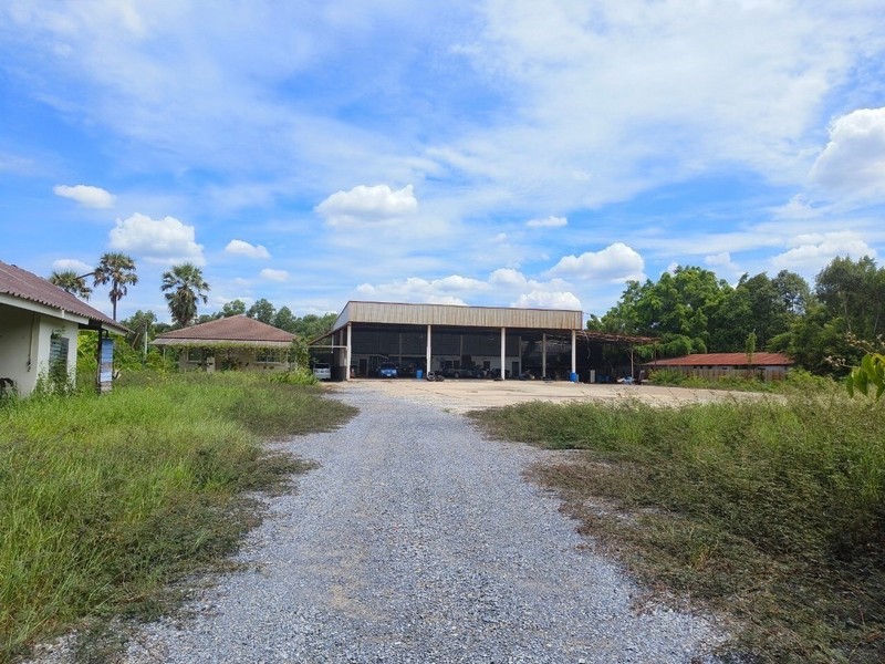 ขายที่ดิน คลอง6 ตะวันตก31 พร้อมชั้นเดียว แบ่งเป็น 3 โซน พื้นที่ 5 ไร่ ใกล้ รพ.คลองหลวง ทำเลดี รูปแปลงสวย สี่เหลี่ยมผืนผ้า